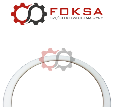 Pierścień prowadzący