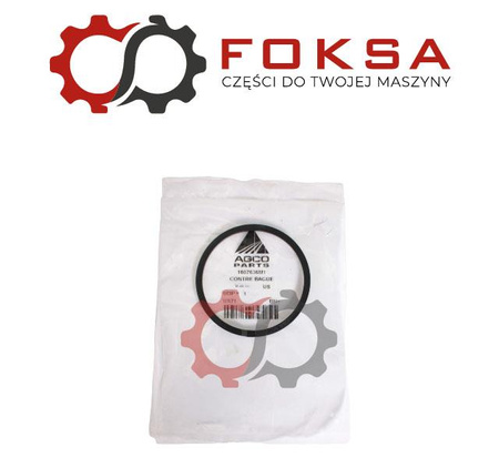 Pierścień uszczelniający wysprzęglika ORG