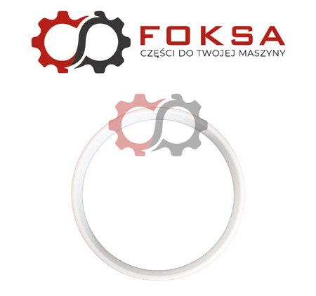 Pierścień uszczelniający / prowadzący