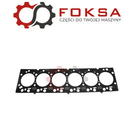 Uszczelka głowicy REINZ