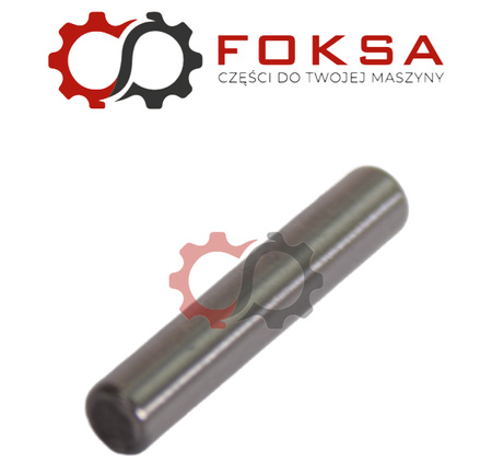 Igiełka łożyska wałka głównego