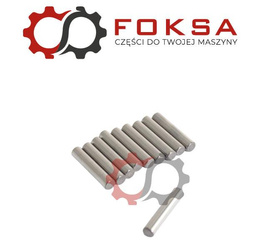 Igiełka (zestaw 10 szt)