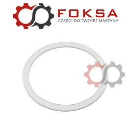 Pierścień prowadzący