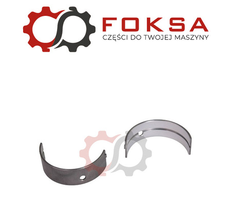 Panewka główna para STD