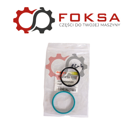 Pierścień uszczelniający ORG