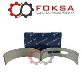 Panewki główne - PARA - KS