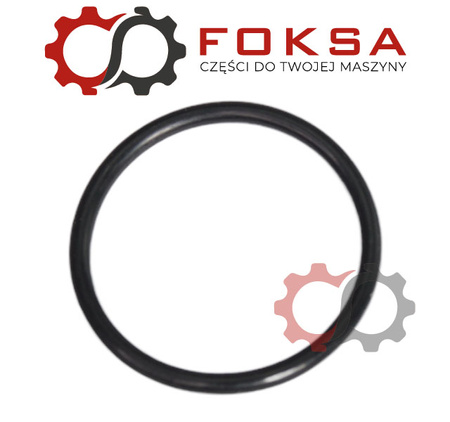 O-ring obudowy termostatu
