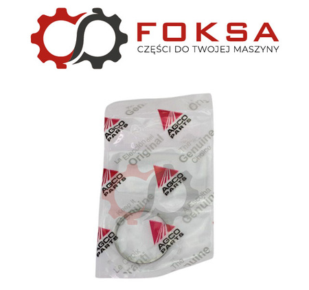 Pierścień uszczelniający ORG