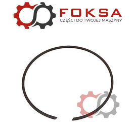 Pierścień zabezpieczający ORG