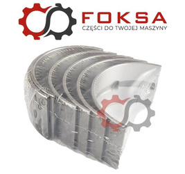 Zetaw panewek głównych I szlif