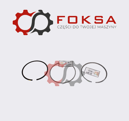 Pierścienie tłokowe ORG