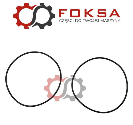 Oring tulei kpl. 2 szt Reinz