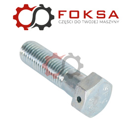 Śruba specjalna z zabezpieczeniem