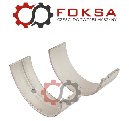 Panewka główna para Kolbenschmidt