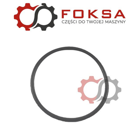 O-ring mechanizmu różnicowego