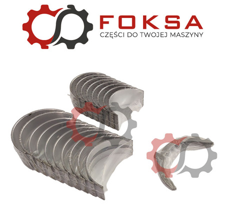 Wał korbowy silnika z panewkami