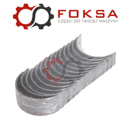 Zestaw panewek głównych KMP I szlif