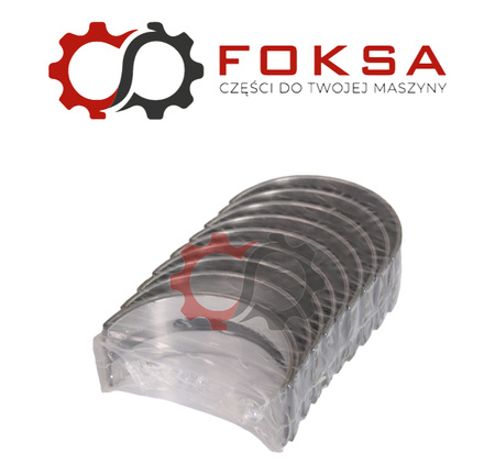 Panweki główne zestaw