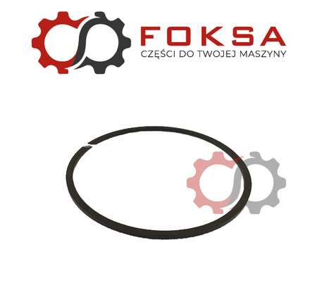 Pierścień uszczelniający tłoka ORG