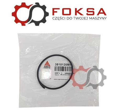 Pierścień uszczelniający (przecięty pod skosem) ORG