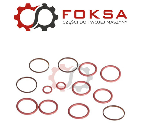 Zestaw naprwczy zaworu hydraulicznego ORG