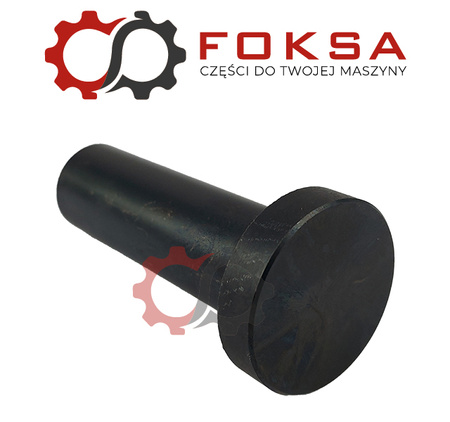 Popychacz zaworu/Szklanka popychacza