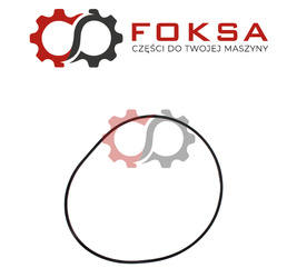 Pierścień Dana Spicer