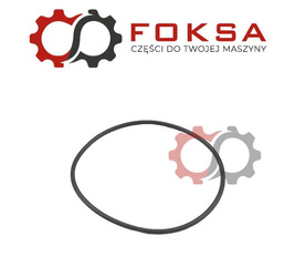 O-ring tloka hamulca