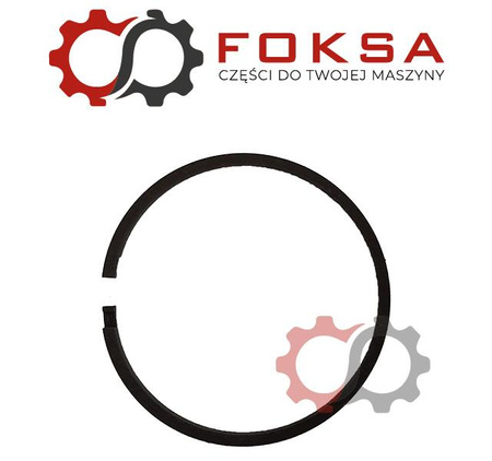 Pierścień zamkowy ORG