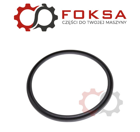 Pierścień uszczelniający tłoka