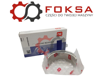 Panewka główna para