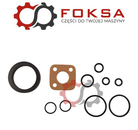 Zestaw montażowy pompy hydraulicznej (komplet uszczelniaczy) MF 3000, 3100, 6100, 6200