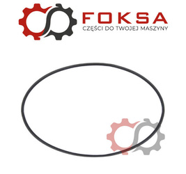 Arag - Uszczelka 101.27x2.62mm