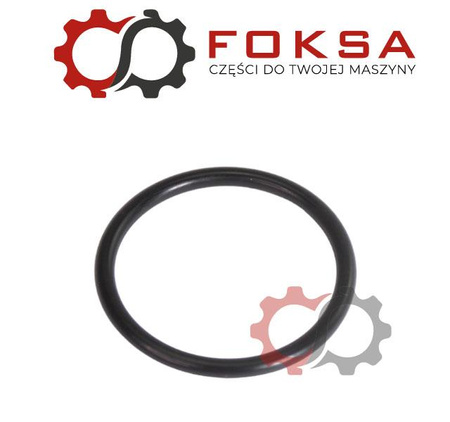 O-ring ORG