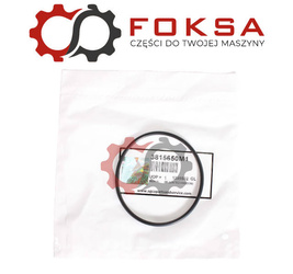 O-ring / Pierścień uszczelniający ORG