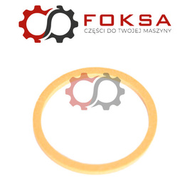 Pierścień tylny ORG