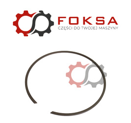 Pierścień zabezpieczajcy ORG