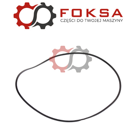 Pierścień Dana Spicer