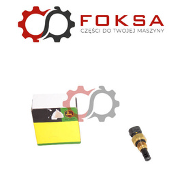 Czujnik temperatury powietrza ORG