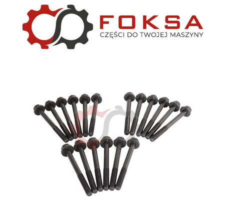 Komplet śrub głowicy Reinz