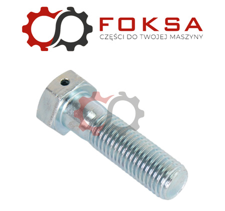 Śruba specjalna z zabezpieczeniem