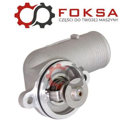 Termostat w obudowie ORG