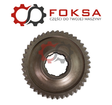 Koło stałego zazębienia