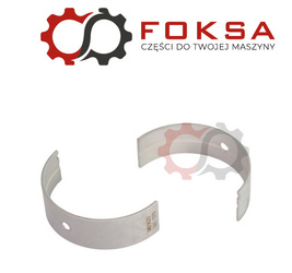 Panewka główna para STD