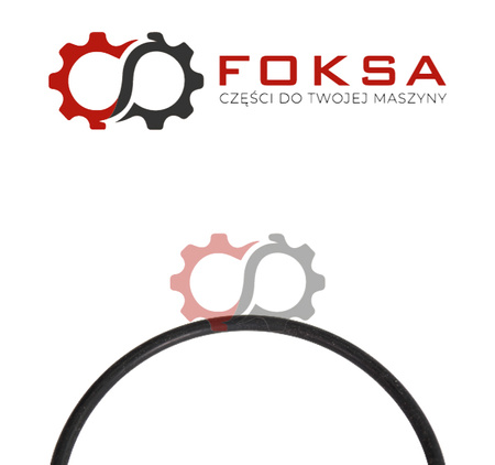 O-ring / Pierścień uszczelniający ORG