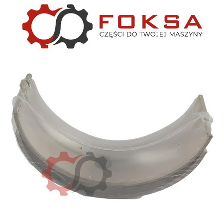 Panewki główne - para