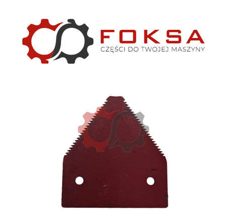 Nożyk kosy górnonacinany