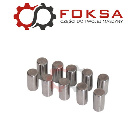 Igiełka łożyska - 10szt