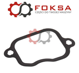 Uszczelka kolektora ssącego REINZ