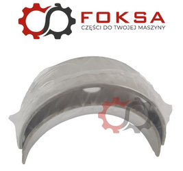 Panewki główne - para